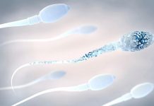 El 62 % de los suizos tiene un semen de mala calidad 62%