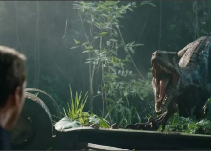 escena estados unidos