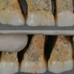 Descubren una nueva especie humana en isla de Filipinas filipinas