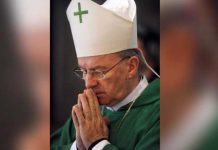 Vaticano responde a investigaciones sobre nuncio apostólico en Francia vaticano