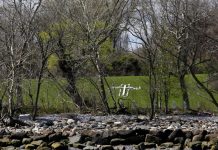 Aparecen numerosos restos humanos en una isla de Nueva York estados unidos