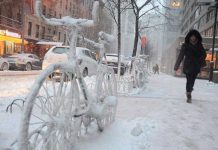 Tormenta invernal pone a siete condados en estado de emergencia estados unidos