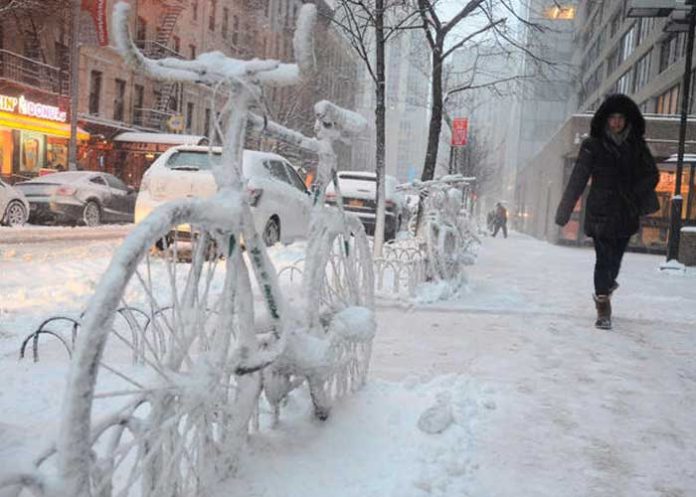estados-en-emergencias estados unidos