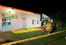 EE.UU.: 3 muertos en un tiroteo en una fiesta de Halloween en California eeuu