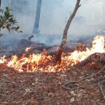 15 manzanas de bosque afectadas por incendio forestal en Estelí nicaragua