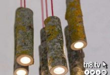 Joven de Estelí innova lamparas rústicas con troncos de árboles nicaragua