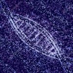 Definen ADN de 340.000 estrellas para encontrar a los hermanos del sol via lactea