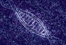 Definen ADN de 340.000 estrellas para encontrar a los hermanos del sol via lactea