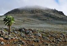 Descubren el asentamiento humano más antiguo en Etiopía