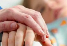 «Cansados de vivir»: Más de 10.000 holandeses piden la eutanasia holanda