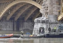 Buzos exploran zona del Danubio donde naufragó barco turístico hungria