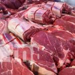 Nicaragua repunta en ventas de carne bovina en Centroamérica nicaragua, exportacion, carne bovina, centroamerica,