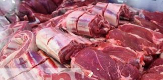 nicaragua, exportacion, carne bovina, centroamerica,
