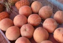 El MEFCCA organizan ferias para promover el consumo de frutas managua