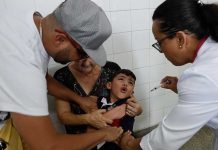 Brasil: OMS alerta de fiebre amarilla en todo el estado de Sao Paulo