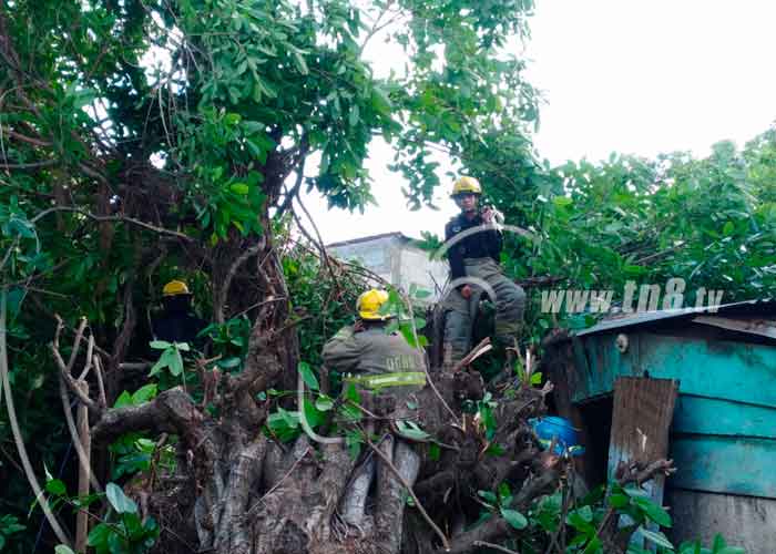 f1_3XnHyIj nicaragua