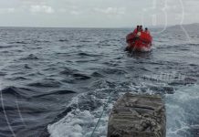 fuerza naval
