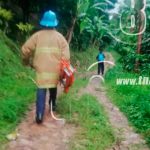 Joven muere al caerle un rayo cuando este cortaba un árbol en Matagalpa nicaragua