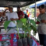 Primera Feria de Tecnología Agropecuaria en la Isla de Ometepe isla de ometepe