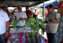 Primera Feria de Tecnología Agropecuaria en la Isla de Ometepe isla de ometepe