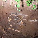 Hallazgo de un cráneo y huesos se reporta en un asentamiento de León nicaragua
