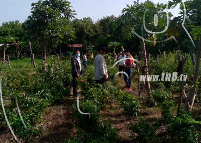 f3_bHEk3Zq nicaragua