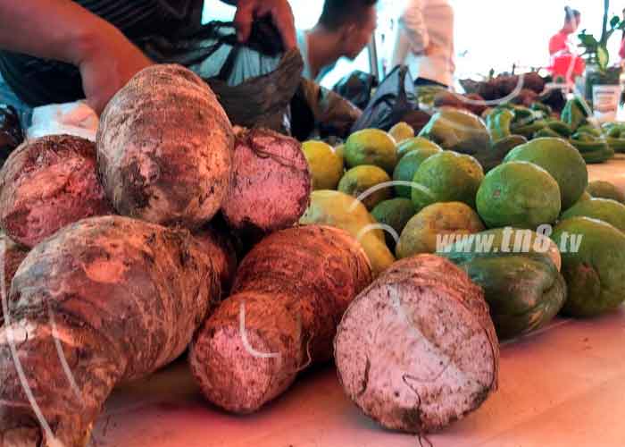 f4_5osoJBA nicaragua