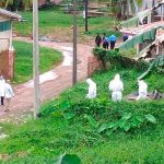 Cuerpo sin vida es encontrado en el patio del hospital en Bluefields nicaragua