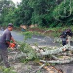 Fuertes vientos dejan árboles caídos y una casa semi destruida en Nandaime nicaragua