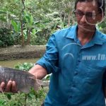 MARENA inaugura primer zoocriadero de peces en Boaco nicaragua