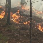 Nicaragua anuncia plan 2020 para prevención de incendios forestales nicaragua