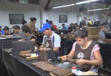 Aumenta contratación de personal en fábricas de puros de Estelí nicaragua