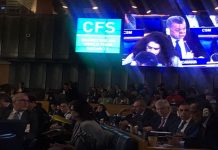Nicaragua en consulta regional del comité de seguridad alimentaria nicaragua