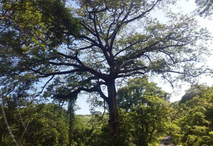 nicaragua