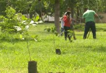 Realizan jornada de reforestación en Managua nicaragua