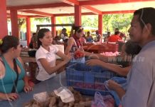 Tres productivos días en la Feria de la Economía Familiar en Bilwi nicaragua