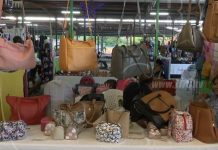 MEFCCA realiza feria de la buena voluntad y paz familiar en Managua managua