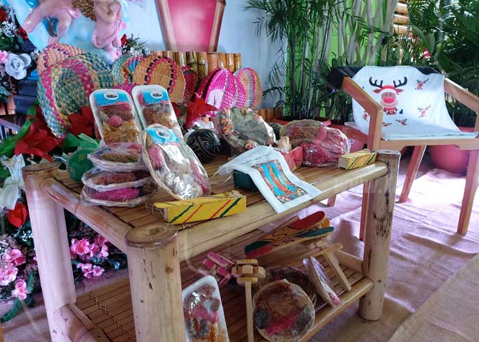 feria-virgen-02 nicaragua