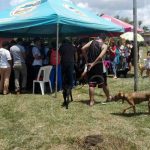 Feria canina fue todo un éxito en el municipio de Nueva Guinea nicaragua