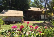 Nostalgias y añoranzas vividas en la hacienda de Ameya, Chinandega nicaragua