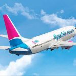 Descubren feto humano entre los desechos de un avión en Sudáfrica sudafrica