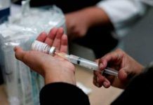 Asciende a 81 los muertos por fiebre amarilla en Brasil