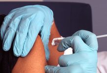 Ascienden a 237 las muertes por fiebre amarilla en Brasil prueba