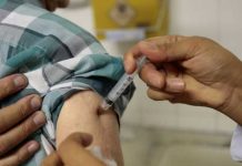 15 muertes por fiebre amarilla en Minas Gerais, el estado brasileño más afectado
