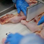 Filipinas prohíbe la importación de pollo desde Brasil tras detectase coronavirus filipinas