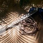 Jardinero queda grave tras precipitar de un frondoso árbol en Ctra. Sur nicaragua