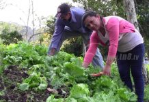Patio Saludable es un impulso a la economía familiar en Boaco nicaragua
