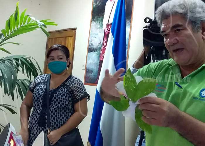 flor-1_uyE6avl nicaragua