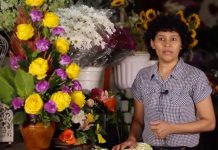 Las Flores de Sofía, hermosa motivación para vencer al cáncer nicaragua