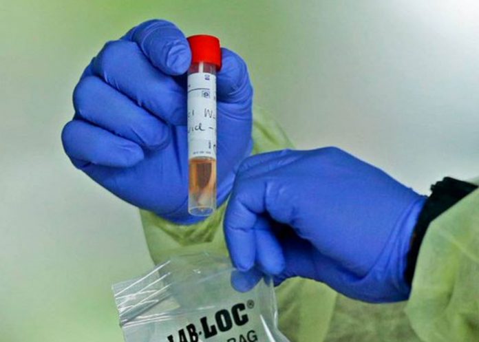 florida-_34SKVN5 florida